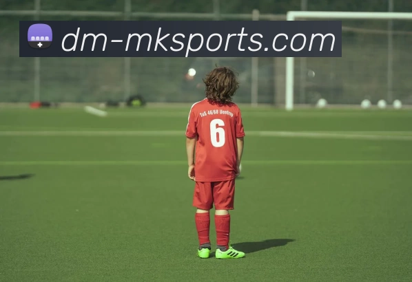 MK体育平台生态图